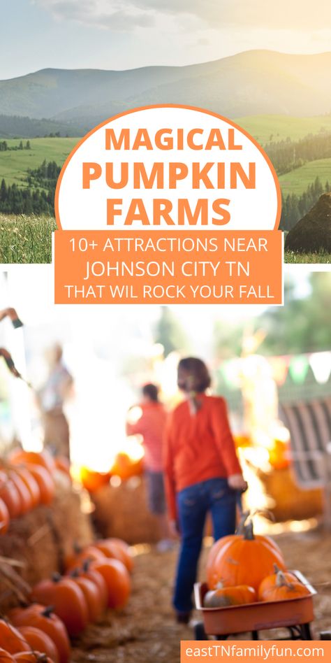 Things To Do In Johnson City Tn, Fall Weekend Trip, Townsend Tennessee, Travel Therapy, Pumpkin Patch Farm, Johnson City Tennessee, Pumpkin Life Cycle, Vacation 2023, Tennessee Travel