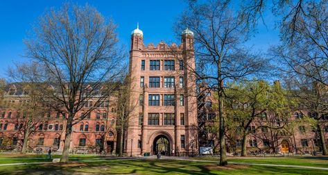 Yale University Yale University Campus, Hogwarts University, Usa University, Us Universities, University Courses, University Admissions, Private University, Yale University, Top Colleges