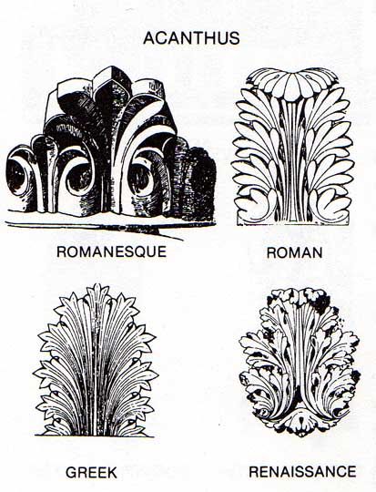 s Ornament Drawing, Cathedral Architecture, Acanthus Leaves, Leaf Drawing, Acanthus Leaf, Architectural Drawings, Plants And Flowers, Architectural Elements, Arabesque