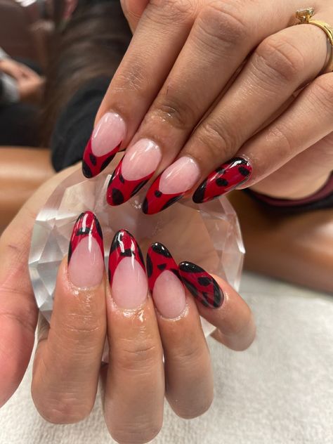 Ladybug Nail Art Design, Ladybug Acrylic Nails, Ladybug Nails Designs, Nails Ladybug, Ladybug Makeup, Bug Nail Art, Bug Nails, Ladybug Nail Art, Red Nail Design