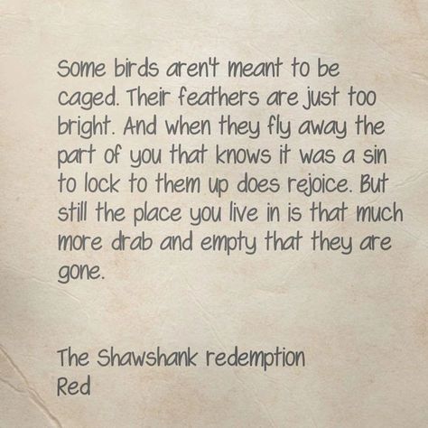 "The Shawshank Redemption" "Shawshank Redemption," it is a profound exploration of hope, freedom, and the resilience of the human spirit. At its core, the story examines the existential struggle of individuals confined not just by physical walls, but by their circumstances and internal fears. Hope as a Driving Force**: Andy Dufresne, the protagonist, embodies the idea that hope can sustain us even in the direst conditions. His unwavering belief in eventual freedom, despite the oppressive e... Shawshank Redemption Aesthetic, Shawshank Redemption Quotes, Redemption Quotes, Andy Dufresne, Done Trying Quotes, Iconic Movie Quotes, Try Quotes, Movie Quotes Inspirational, Lost Song