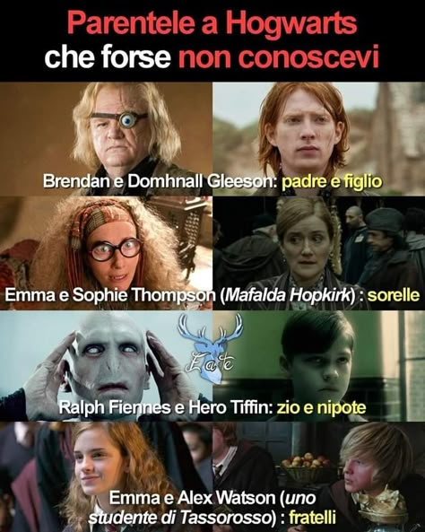 Drarry Pansmione Blairon, Headcanon Harry Potter, Harry Potter Humor, Stile Harry Potter, Harry Potter Quiz, Harry Potter Gif, Ralph Fiennes, Harry Potter Ships, Harry Potter 2