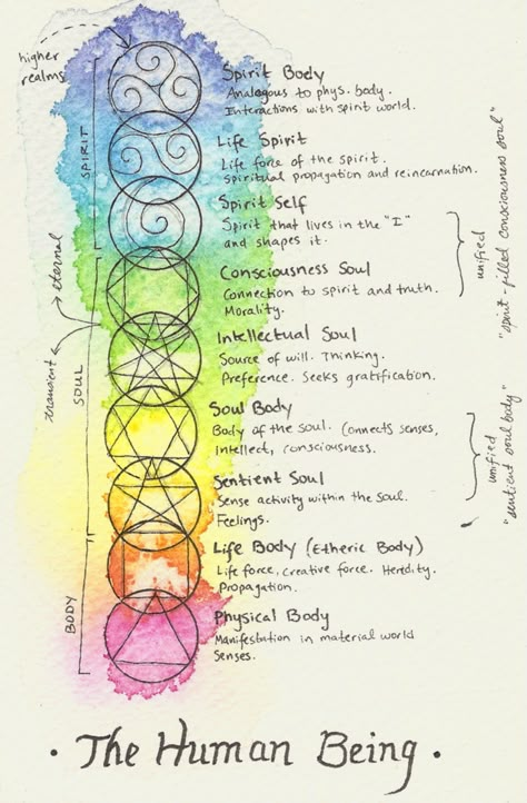 I’ve been trying to visually interpret my understanding of theosophy, and I thought I’d share my paintings and notes with all of you. I’ve only finished one diagram, but I plan on… Grimoire Book, Rudolf Steiner, Wiccan Spells, Les Chakras, Chakra Meditation, Human Being, Spell Book, Book Of Shadows, Sacred Geometry