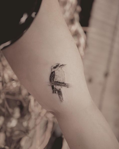 Maxe_brother Kookaburra tattoo, single needle Kookaburra Tattoo, Aus Tattoo, Tattoo Single Needle, Australia Tattoo, Harry Tattoos, Australian Tattoo, Native Tattoos, Aquarius Tattoo, Coffee Tattoos