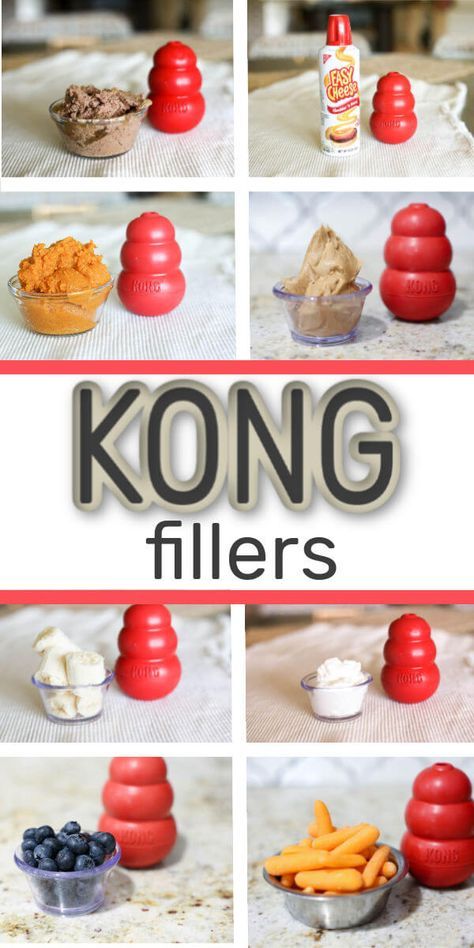 King Fillers For Puppies, Aussalier Full Grown, Best Treats For Puppies, Dog Food Puzzles, Puppy Hacks Diy, Kong Fillers For Puppies, Kong Recipes For Dogs, Frozen Kong Recipes Dogs, Lickimat Recipes