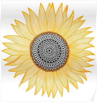 Golden Mandala Sunflower Posters Drawing Of A Sunflower, Mandala Arm Tattoo, Mandala Sunflower, Dotwork Tattoo Mandala, Sunflower Poster, Golden Mandala, Golden Sunflower, Sunflower Mandala, Mandalas Painting