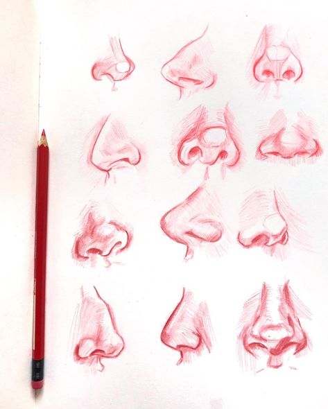 Noses In Different Art Styles, Nose Acrylic Painting, Sketching Lips, Nose Painting, Nose Reference, Human Nose, Color Pencil Sketch, Nose Drawing, Human Figures