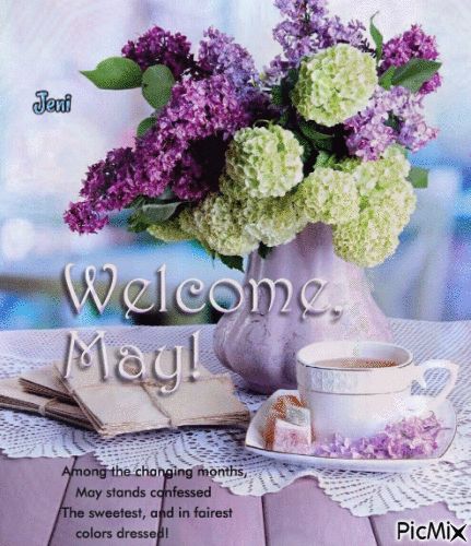 Neuer Monat, Welcome May, May Quotes, Seasons Months, 1. Mai, Hello April, Happy New Month, Hello July, May Days