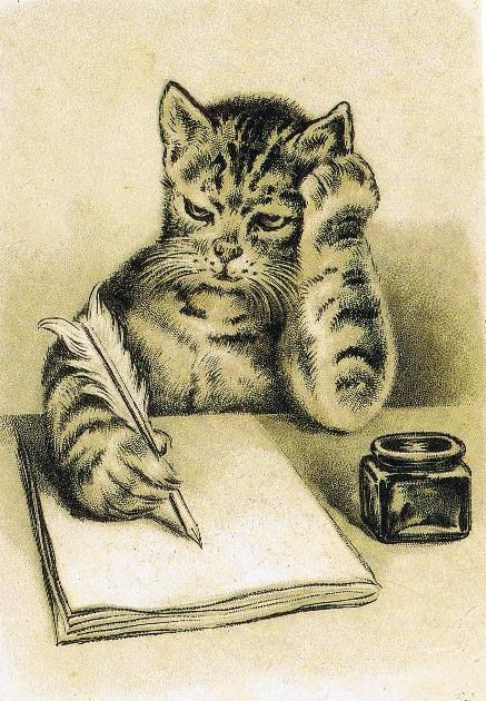 Louis Wain Cats, Tom Cat, Image Chat, Cat Books, Cats Illustration, Vintage Cat, Cat Illustration, Pen And Paper, All About Cats