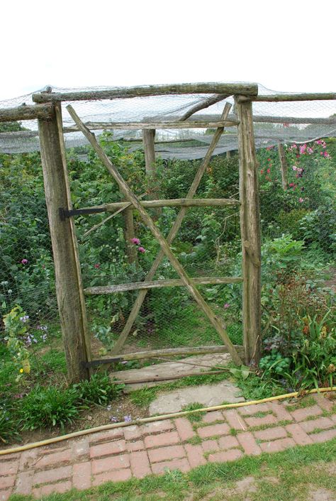 Great Dixter fruit cage door Berry Cage, Great Dixter, Fruit Cage, Lodge Ideas, Veggie Patch, Creative Gardening, Potting Shed, Hobby Farms, Garden Stuff