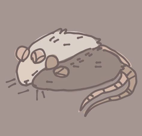 Cute Rats Aesthetic Drawing, Rat Cute Drawing, Silly Rat Doodles, How To Draw Rats, How To Draw Rat, How To Draw A Rat, Rat Icons, Rat Drawing Reference, Rat Wallpapers