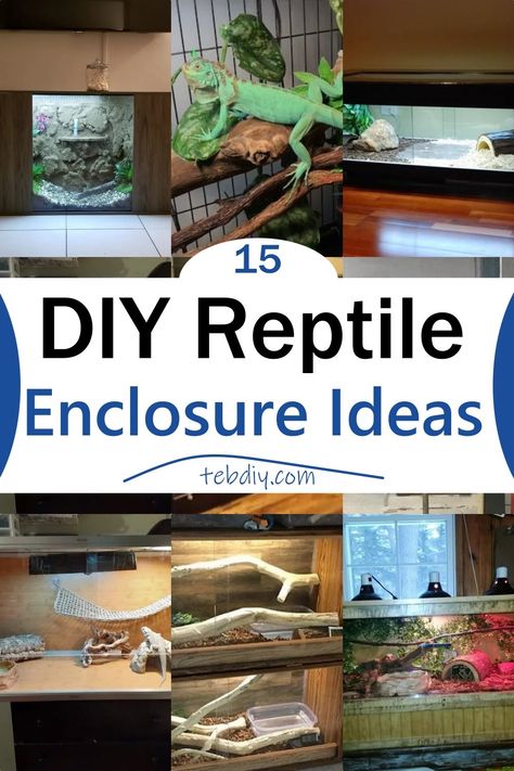 15 DIY Reptile Enclosure Ideas Diy Iguana Enclosure Indoor, Diy Lizard Terrarium, Diy Gecko Enclosure, Diy Reptile Enclosure Furniture, Reptile Enclosure Ideas, Diy Reptile Decor, Reptile Room Aesthetic, Diy Reptile Enclosure, Diy Bearded Dragon Enclosure