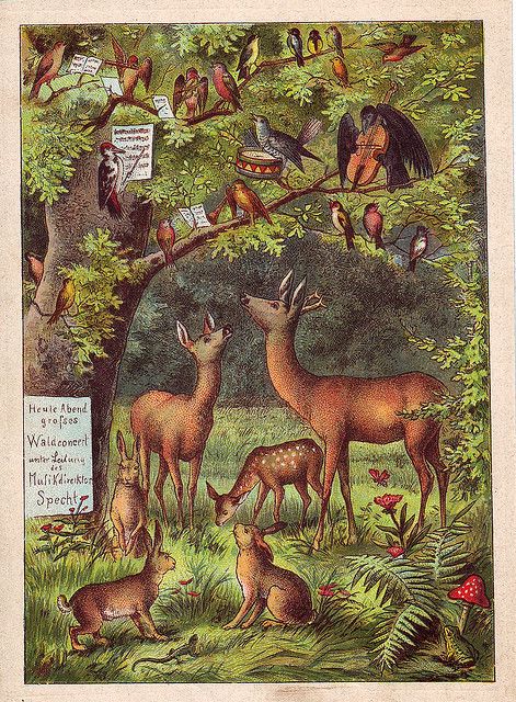 A delightful and charming vintage woodland illustration... (art, deer, forest, German children's book ) Woodland Illustration, Vintage Woodland, Postal Vintage, Images Vintage, Art And Illustration, Woodland Creatures, Childrens Illustrations, Pics Art, Children's Book Illustration