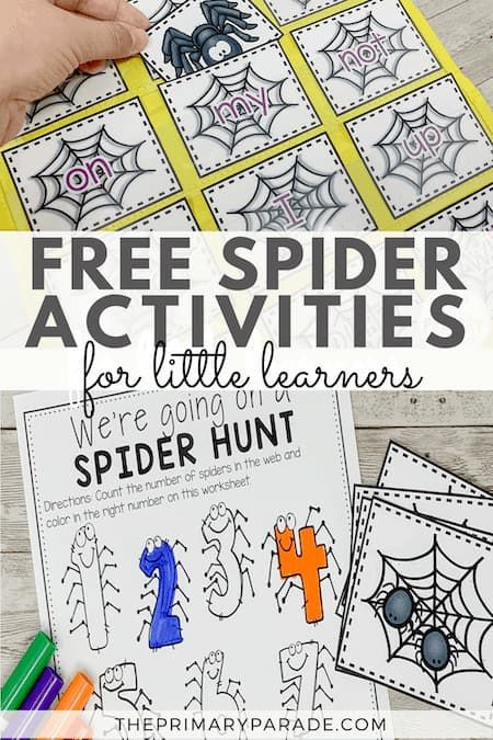 Halloween preschool activities Spider Math Activities, Halloween Preschool Activities, Halloween Activities For Preschool, Spider Lessons, Fall Prek, Spider Math, Spiders Preschool, Prek Halloween, Halloween Worksheet