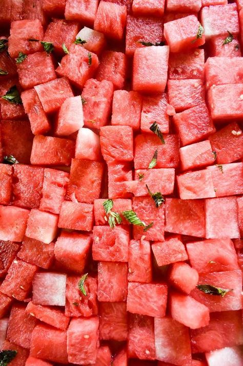 Margarita Infused Watermelon   How to Pick the Perfect Watermelon | Dash of Jazz Alcohol Infused Fruit, Perfect Watermelon, Watermelon Recipe, Watermelon Margarita, Watermelon Recipes, Camping Food, Southern Recipes, Fruit Recipes, Grown Up