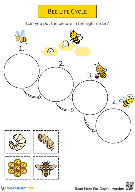 Help students explore the basic stages of a bee life cycle through this engaging learning activity. You can find and download any Bee Life Cycle worksheets for FREE at our website: http://worksheetzone.org/ Try it out! #science #scienceworksheets #beelifecycle #animallifecycle #lifecycle #stages #lifecycleofabee #bees #crafts  #paper&gluecrafts #printables #worksheet #kidsactivities #beelifecycleforkids #paper #livingthings #cut&paste #beecrafts Bees Crafts, Cycle Stages, Classroom Objects, Bee Life Cycle, Animal Life Cycles, Science Worksheets, Bee Crafts, Crafts Paper, Life Cycle