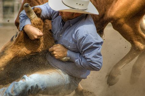 now this is wrestling.. Steer Wrestling, Cowboys Pictures, Cheyenne Frontier Days, Cowboys And Angels, Rodeo Cowboys, Texas Cowboys, Cowboy Pictures, Real Cowboys, Rodeo Life