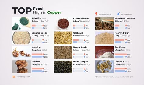 Food High in Copper Foods High In Copper, Copper Rich Foods, Copper Foods, Zinc Foods, Peanut Flour, Complete Nutrition, Low Blood Sugar, Diet Menu, 200 Calories