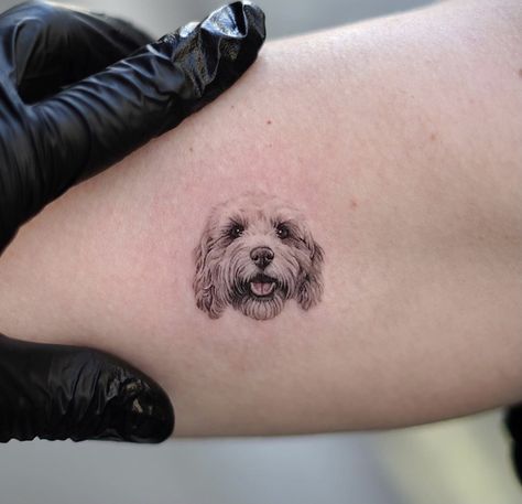 Shihpoo Tattoo, Cavachon Tattoo, Cockapoo Tattoo Outline, Small Dog Portrait Tattoo, Maltipoo Tattoo, Cockapoo Tattoo, Doodle Dog Tattoo, Goldendoodle Tattoo, Pet Portrait Tattoos