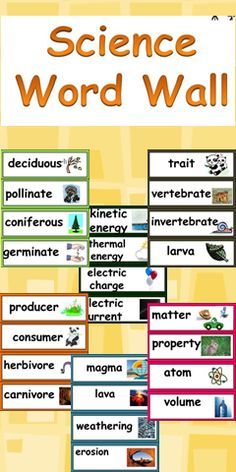 Science Word Wall, Fourth Grade Science, Science Vocabulary, Science Words, Third Grade Science, 8th Grade Science, 4th Grade Science, 6th Grade Science, 5th Grade Science