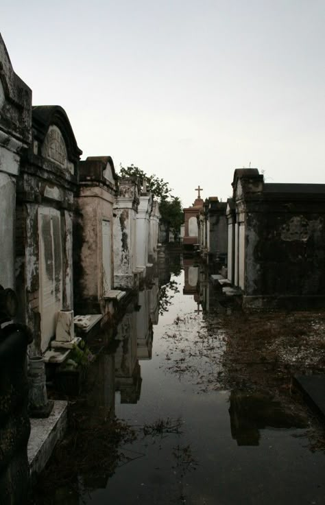 Visit a New Orleans cemetery New Orleans Cemetery, Southern Gothic Aesthetic, New Orleans Cemeteries, Lafayette Cemetery, Goth Gifts, How To Impress, The Heist, Old Cemeteries, Cemetery Art