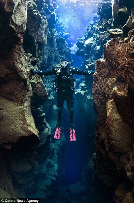 Thingvellir National Park, Iceland Trip, Put Things Into Perspective, Plate Tectonics, Sky Sunset, Scuba Diver, Memes Br, Underwater Photography, Scuba Diving