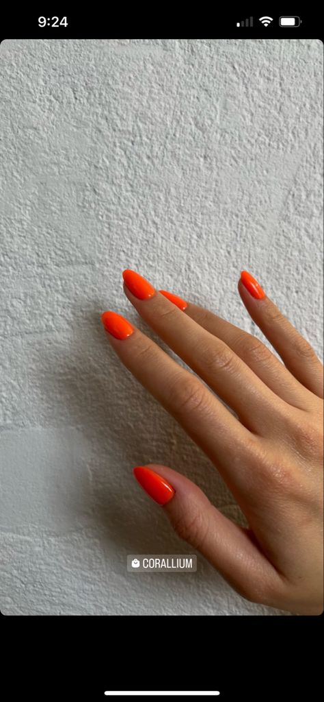 Vibrant Orange Nails, Fluorescent Orange Nails, Orange Neon Nails, Neon Orange Nails, Chestnut Springs, Neon Nails, Orange Nails, Vibrant Orange, Neon Orange