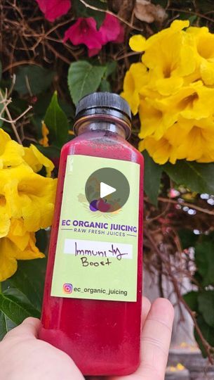 1.1K views · 107 reactions | Boost your immune system 🥤 🍊 🥕 | EC Organic Juicing | Camilo · Una Vida Pasada Boost Juice, Immunity Boost, Wellness Shots, Organic Juice, Healthy Drink, Boost Your Immune System, Liver Detox, Fresh Juice, 1k Views