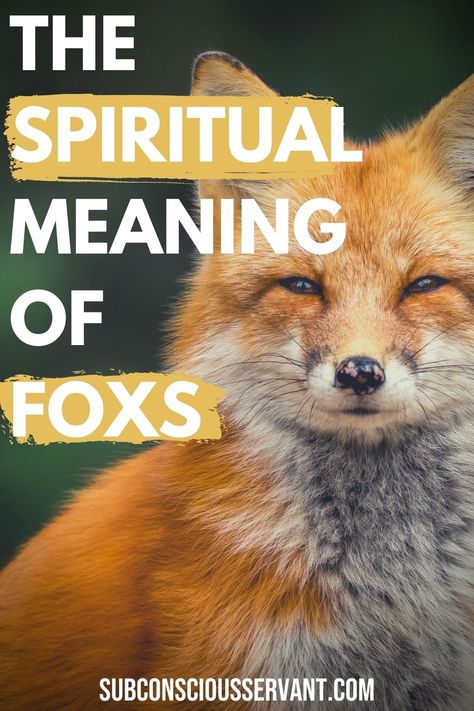 Fox spiritual meaning and symbolism - Foxes means many different things in various cultures and belief systems, overall the fox is thought to symbolize the nighttime, cunning, working through troubles, overcoming obstacles, and being more mentally and physically aware of our surroundings. Read the article to learn more. #SpiritAnimal #Fox via @subconsciousservant Fox Totem Tattoo, Spiritual Meaning Of Foxes, Seeing A Fox Meaning, Fox Meaning Spirit Animal, Fox Quotes Wisdom, Fox Spirit Animal Meaning, Japanese Fox Tattoo Design, Fox Sayings, Little Fox Tattoo