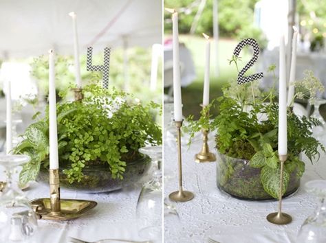 Wedding Table Decorations: Potted Plants minus the candles....some "just greenery" would be pretty Potted Plant Centerpieces, Fern Centerpiece, Cheap Wedding Table Centerpieces, Succulent Wedding Centerpieces, Plant Centerpieces, Potted Ferns, Fern Wedding, Succulent Centerpieces, Unique Wedding Flowers