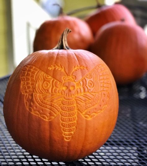 Pumpkin Dremel Carving, Luna Moth Pumpkin Carving, Pumpkin Etching Ideas, Moth Pumpkin Carving, Butterfly Carved Pumpkin, Dremel Pumpkin Carving, Pumpkin Etching, Diy Pumpkin Carving, Witchy Carved Pumpkins