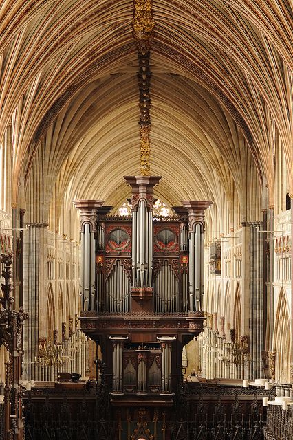 The original organ at St. Peter's Cathedral was created in 1665 and has been updated over the years until in 2013 much of the pipes and workings were removed for a £1 million restoration. The organ was restored in October 2014 and ready for Christmas services. Exeter | South Devon | England English Cathedrals, Exeter Cathedral, Lead Roof, Exeter City, Exeter Devon, Organ Music, Pipe Organ, Cathedral Architecture, Devon England