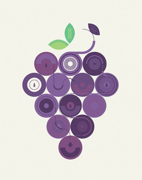 Fruits Logo, Cocktail Book Design, Fruit Drawing, Wine Production, Dutch Uncle, Greenpoint Brooklyn, Wine Logo, Photoshop Design Ideas, Magazine Illustration