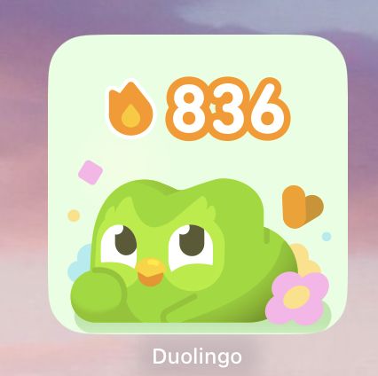 Duolingo Icon Aesthetic, Duolingo Widget, Duo Lingo, 7 11, Birds, Humor, Memes, Art, Humour