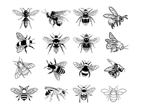 Bee Outline, Small Bee Tattoo, Bee Sketch, Honey Bee Tattoo, Tattoo Pierna, Bee Stencil, Bumble Bee Tattoo, Bolt Tattoo, Flying Tattoo