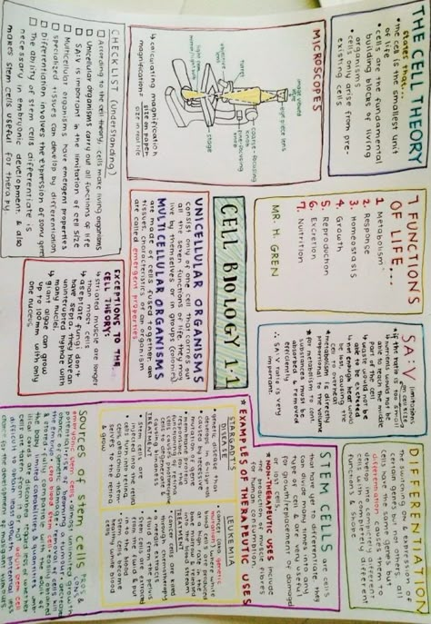 Year 12 Biology Notes, Revision Layout Ideas, Revision Layout, Revision Notes Layout, Revision Mindmaps, Mindmap Ideas Aesthetic, Gcse Science Revision, Revision Ideas, Gcse Biology