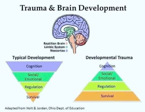 Behavior Disorder, School Social Work, Therapy Counseling, Counseling Resources, Family Therapy, Therapy Worksheets, School Psychology, Brain Development, Emotional Regulation