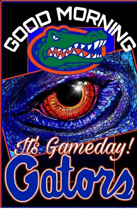 Gameday Gator Football Quotes, Florida Gator Memes, Florida Gators Quotes, Fla Gators, Florida Gators Wallpaper, Florida Wallpaper, Florida Gators Logo, Gator Logo, Uf Gators