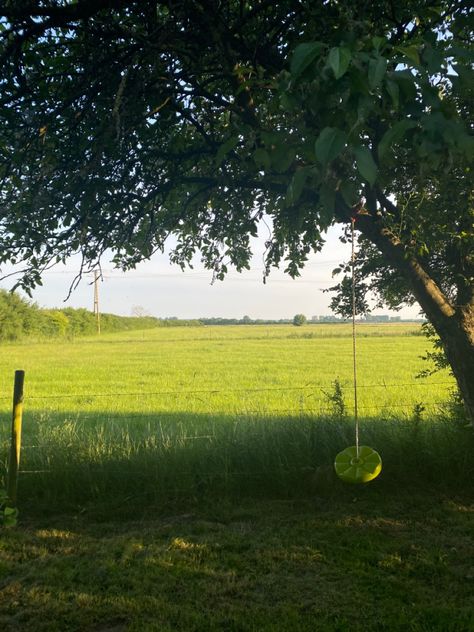 #field #trees #swing #nature #backyard Nature Backyard, Tree Swing, One Tree, Dream Life, Lawn, Trees, Nature