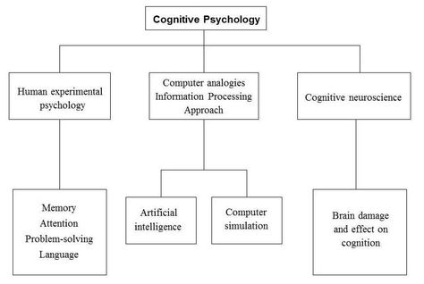 Cognitive Psychology..! Psychology Perspectives, Psychology Topics, Freud Theory, General Psychology, Social Identity, Experimental Psychology, Psychology Terms, Evolutionary Psychology, Humanistic Psychology