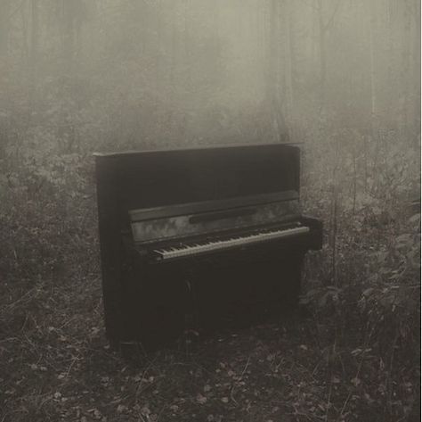 Southern Gothic, Dark Aesthetic, Dark Academia, My Aesthetic, In The Middle, The Middle, Piano, Taylor Swift, Swift