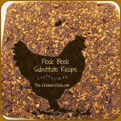 Flock Block Substitute Recipe: A Healthy Chicken Boredom Buster Chicken Boredom Buster, Chicken Boredom, Chicken Backyard, Flock Block, Chicken Coups, Surviving Winter, Animal Farming, Chicken Houses, Tetherball