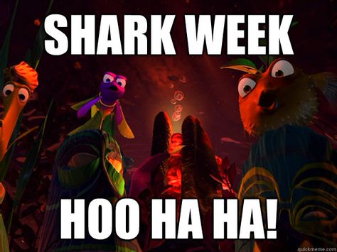 Shark Week. Shark Week Memes, Shark Week Funny, Shark Week Party, Cheshire Cat Smile, Disney Finding Nemo, Shark Bait, Sharks Funny, Disney Jokes, Ha Ha