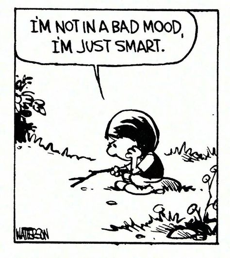 Guilty. Cursed. Blessed.  #inspiration Calvin And Hobbes Quotes, Calvin And Hobbes Comics, Smart Quotes, Bad Mood, Calvin And Hobbes, A Cartoon, A Sign, A Boy, Mood Pics