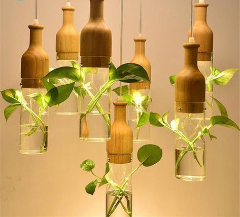 Wooden Led Plant Pendant Lights #light, #pendant, #wooden Plants In Bottles, Hanging Plants Indoor, Wooden Pendant Lighting, Wood Pendant Light, House Plants Decor, Decor Hanging, Plant Lighting, Lamp Led, Bottles And Jars