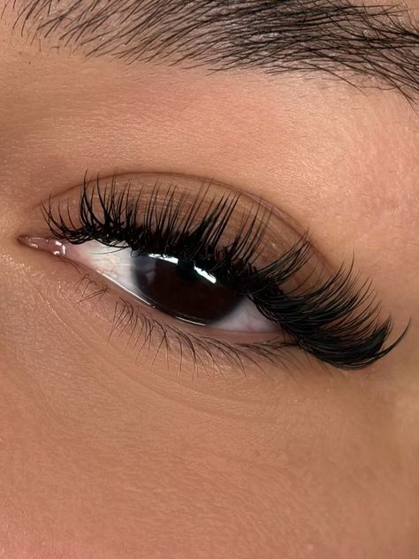 Hybrid | Classic | Cat eye | Natural | Volume | Classic Eyelash Extensions | Hybrid Eyelash Extensions | Volume Eyelash Extensions | Natural Lash Maps | Hybrid Lash Maps | Volume Lash Maps | Open Eye Lash Maps | Doll Eye Lash Maps | Eyelashes | Lash Tech | Lash Technician | Eyelash Tech|Doll eye lashes | Doll eye lash extensions | Doll eye map | Lashes | Lash extensions styles | Lash extensions mapping styles | Lash extensions natural | Lash extensions ideas | Lash extensions styles natural Double Classic Lashes, Eyelash Extensions Inspo Pics, Wispy Volume Lashes Extensions, Eyelash Extensions Styles For Round Eyes, Hybrid Angel Lashes, Cat Eye Fake Lashes, Almond Eye Eyelash Extensions, Cat Eyelashes Extensions, Hybrid Lash Extensions Styles Doll Eye