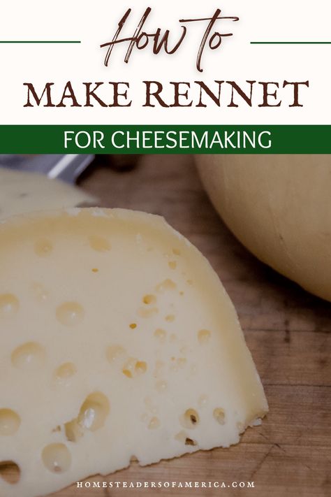 ruminant anima Cheesemaking At Home, Rennet Homemade, How To Make Cheddar Cheese, Home Made Cheese, Homemade Cheeses, Cheese Making Process, Cheese Recipes Homemade, Cheese Making Recipes, Goat Milk Recipes