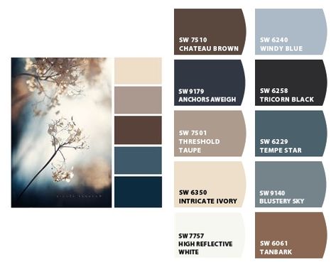 Slate Blue Interior Design, Navy Blue Cream And Brown Living Room, Brown Grey White Color Scheme, Brown And Blue Paint Schemes, Grey Blue Brown Color Scheme, Dark Blue And Neutral Color Palette, Blue Grey Brown Color Palette, Blue And Brown Color Pallete, Taupe Couch Living Room Color Schemes