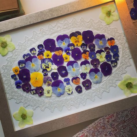 Dianne Randazzo on Instagram: “Antique lace frames pressed pansies 💜🌸💜 #dailyinspiration #pressedflowers #violas #annuals #colorfulart #purples #pressedpansies…” Pressed Pansies, Antique Lace, Pressed Flower, Pressed Flowers, Pansies, Colorful Art, Flower Art, Kids Rugs, Lace