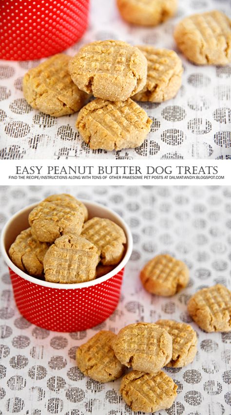 Dog Treat Recipes Easy, Butter Biscuits Recipe, Peanut Butter Dog Biscuits, Peanut Butter Biscuits, Homemade Dog Cookies, Easy Dog Treat Recipes, Dog Biscuit Recipes, Easy Dog Treats, Healthy Dog Treats Homemade